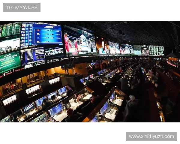 伟德软件在体育博彩行业的应用创新推动行业规范化发展的新动向